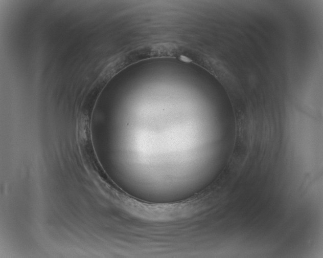 X0000081300038200701111436