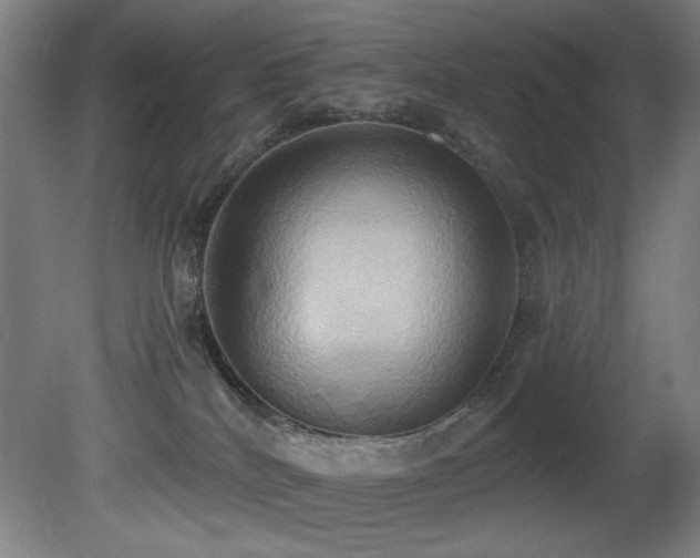 X0000081300040200701111436