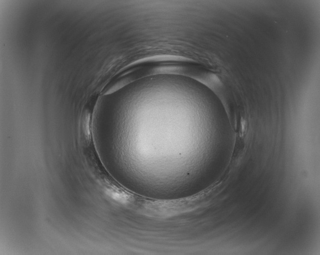 X0000081300041200701111436