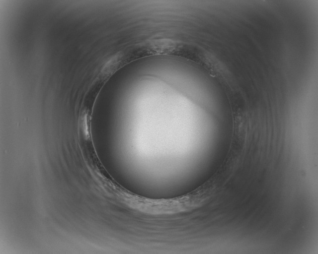 X0000081300042200701111436