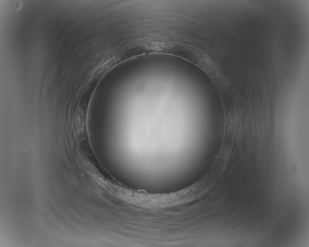 X0000081300043200701111436