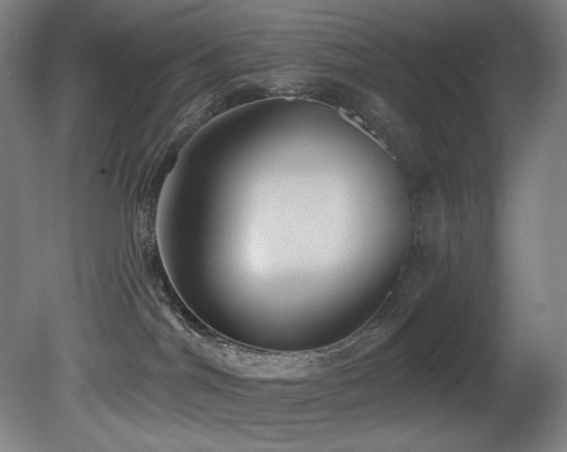 X0000081300044200701111436