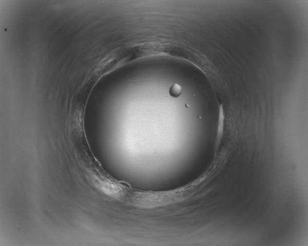 X0000081300045200701111436