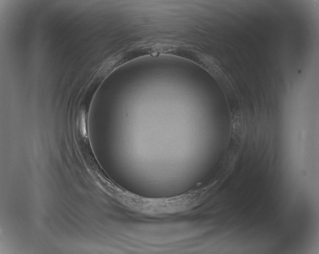 X0000081300046200701111436