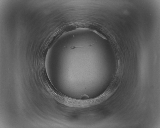 X0000081300048200701111436