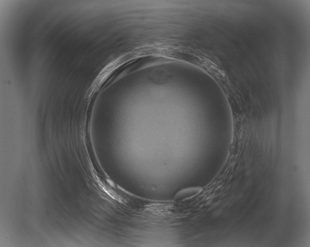 X0000081300051200701111435