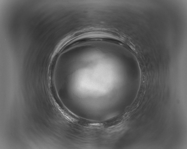 X0000081300053200701111435