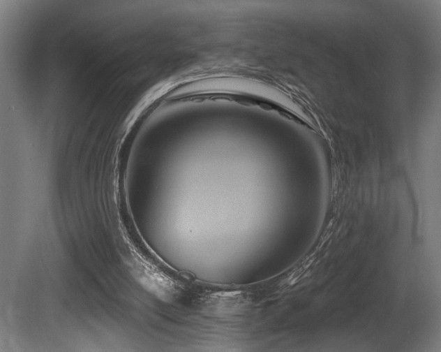 X0000081300054200701111435