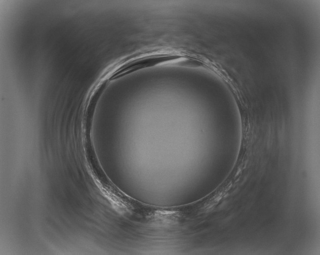 X0000081300055200701111435