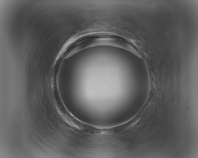 X0000081300056200701111435