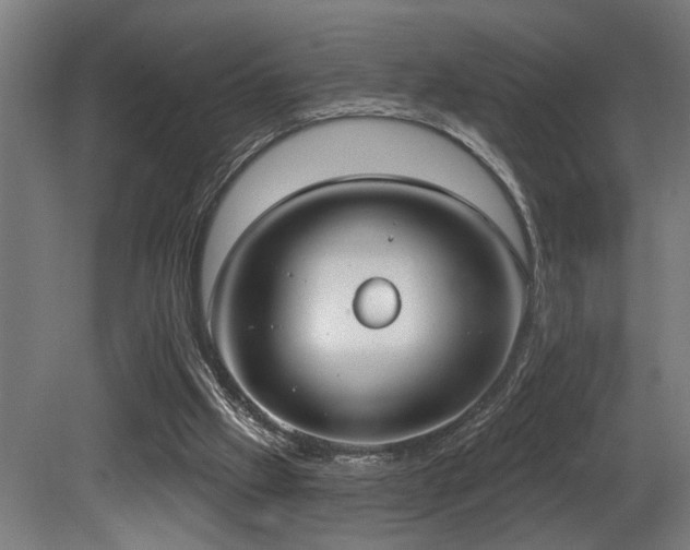 X0000081300057200701111435