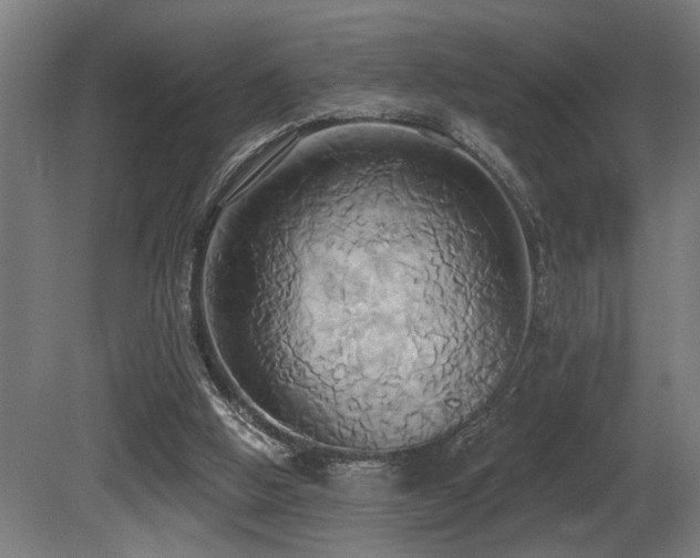 X0000081300058200701111435