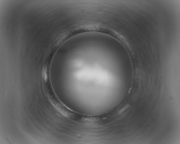 X0000081300069200701111435