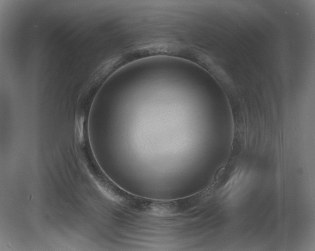 X0000081300070200701111436