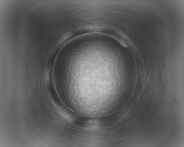 X0000081300071200701111436