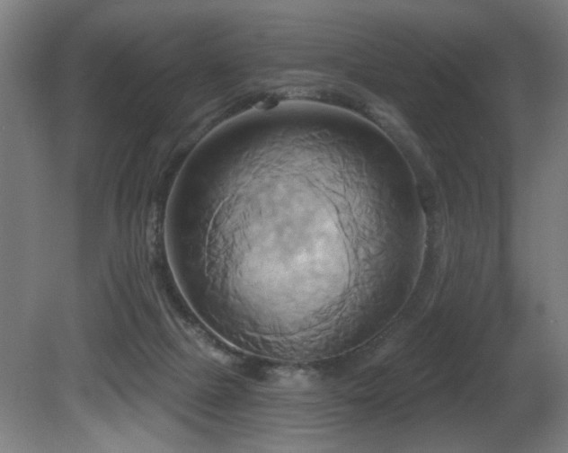 X0000081300073200701111436