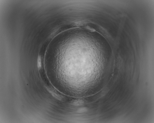 X0000081300075200701111436