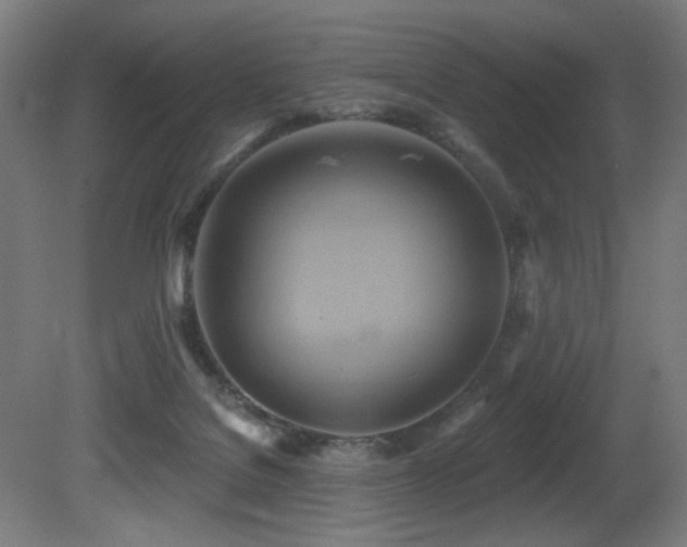 X0000081300076200701111436