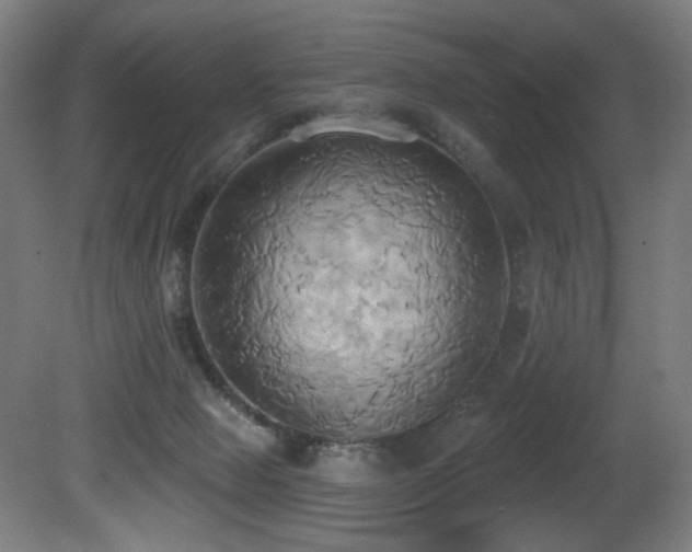 X0000081300077200701111436