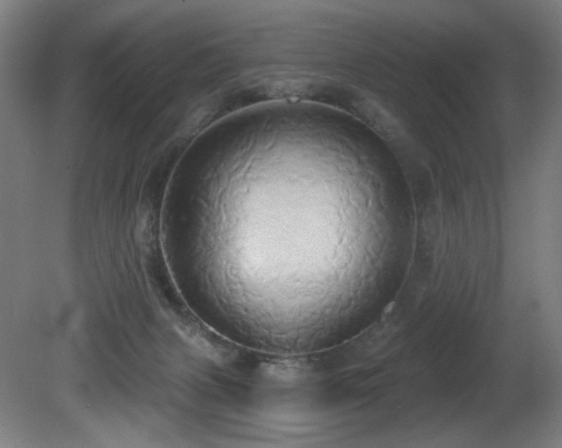 X0000081300079200701111436