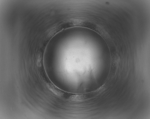 X0000081300082200701111436