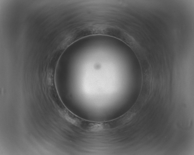 X0000081300083200701111436