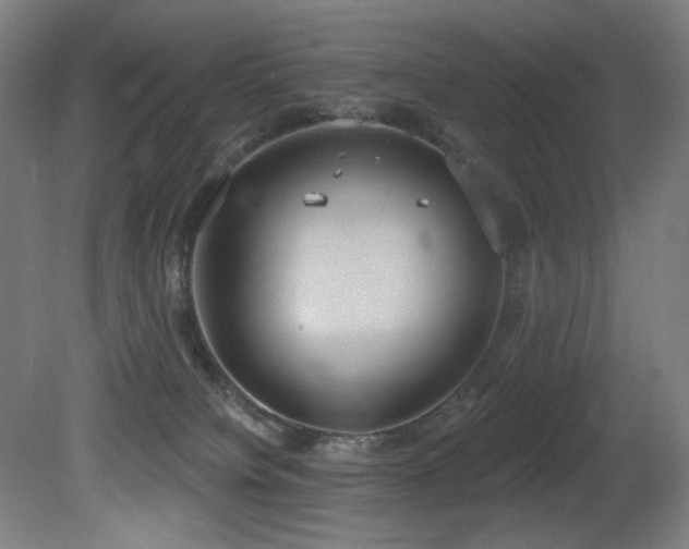 X0000081300084200701111436