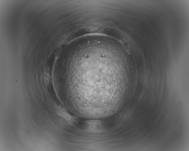 X0000081300085200701111436