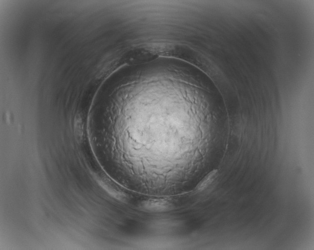 X0000081300086200701111436