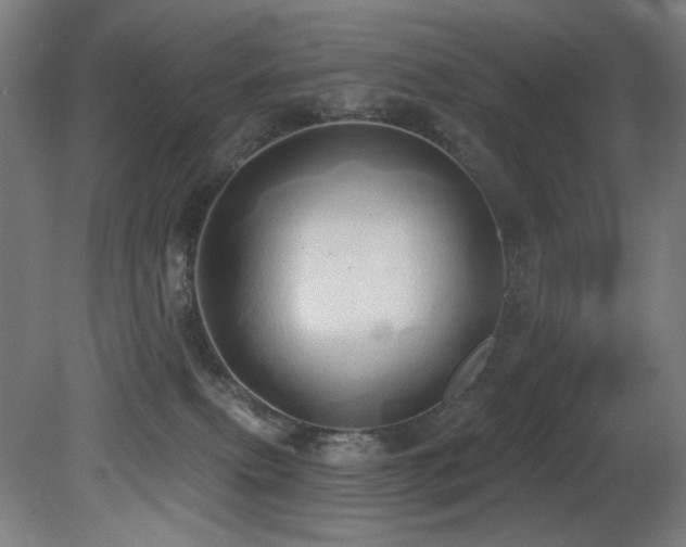 X0000081300087200701111436