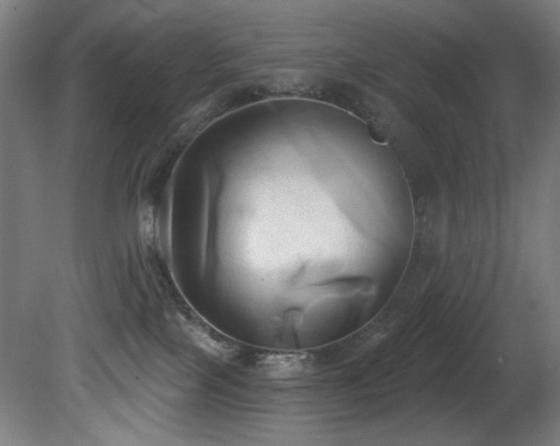 X0000081300089200701111436