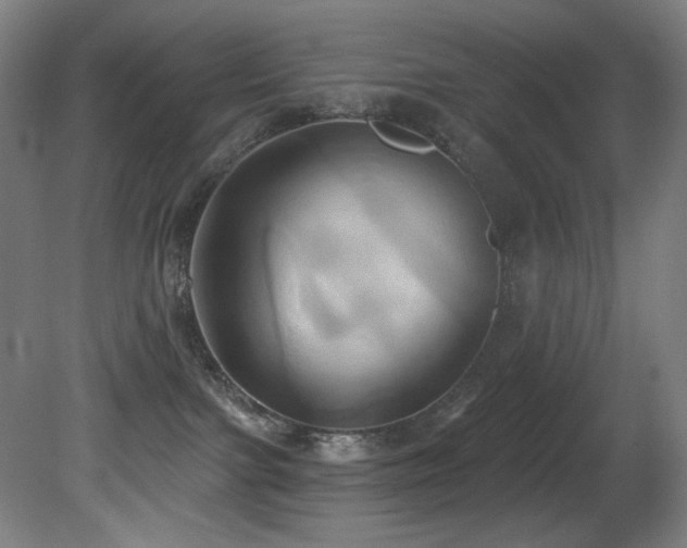 X0000081300091200701111436