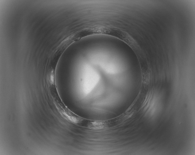 X0000081300095200701111436