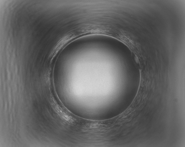 X0000081300098200701111435