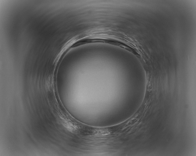 X0000081300099200701111435