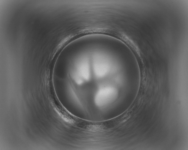 X0000081300107200701111435