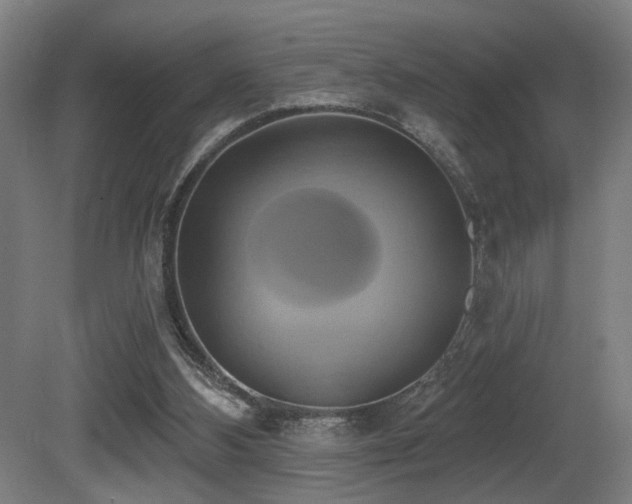 X0000081300108200701111435