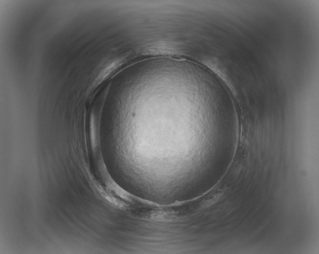 X0000081300109200701111435