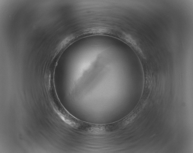 X0000081300110200701111435