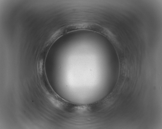 X0000081300118200701111435