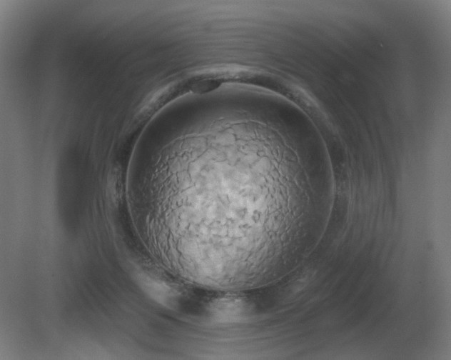 X0000081300119200701111435