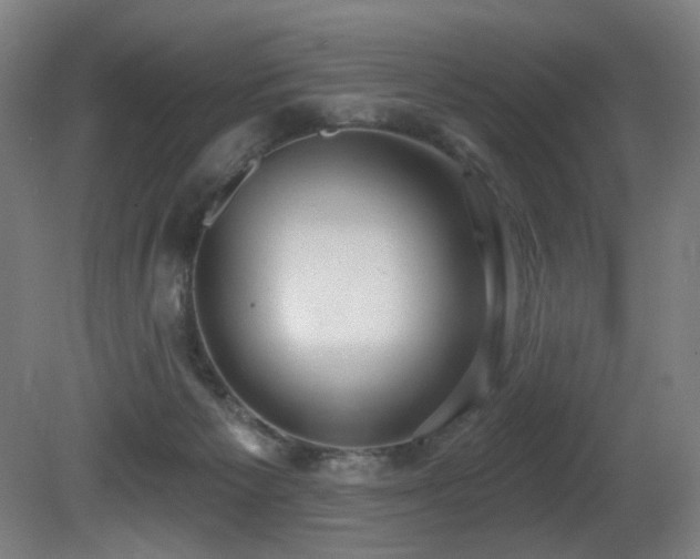 X0000081300125200701111435