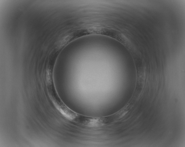 X0000081300130200701111435