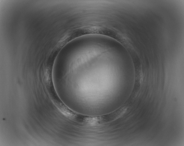 X0000081300131200701111435