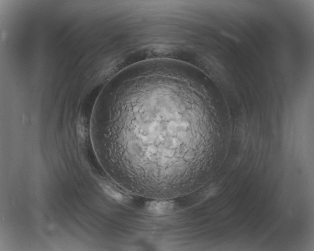 X0000081300135200701111434