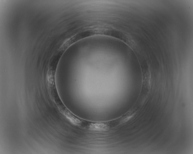 X0000081300137200701111434