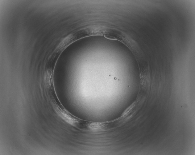 X0000081300142200701111434