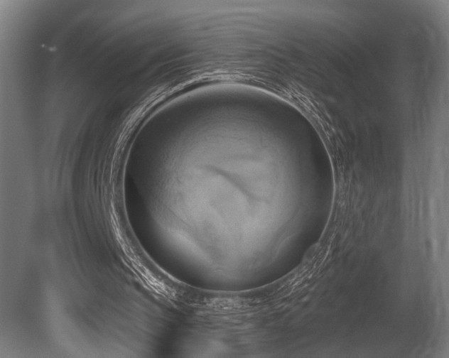 X0000081300145200701111433