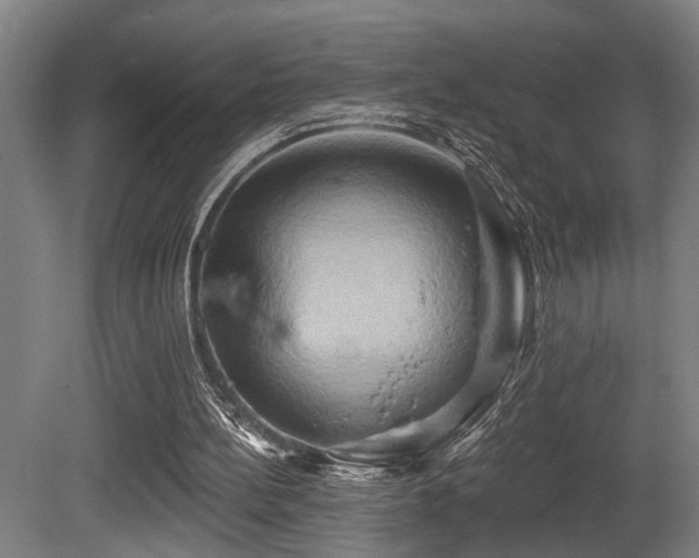 X0000081300148200701111434