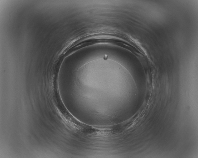 X0000081300154200701111434
